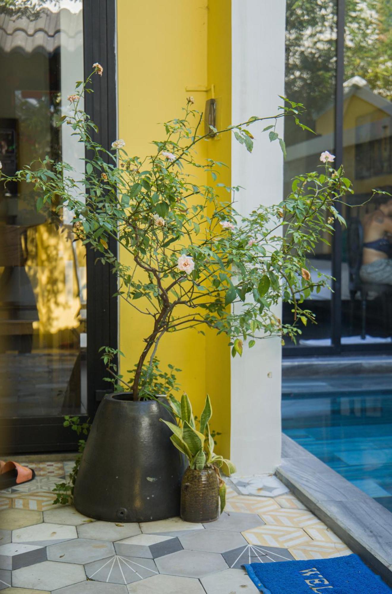 Rosie Villa Hoi An Exterior foto
